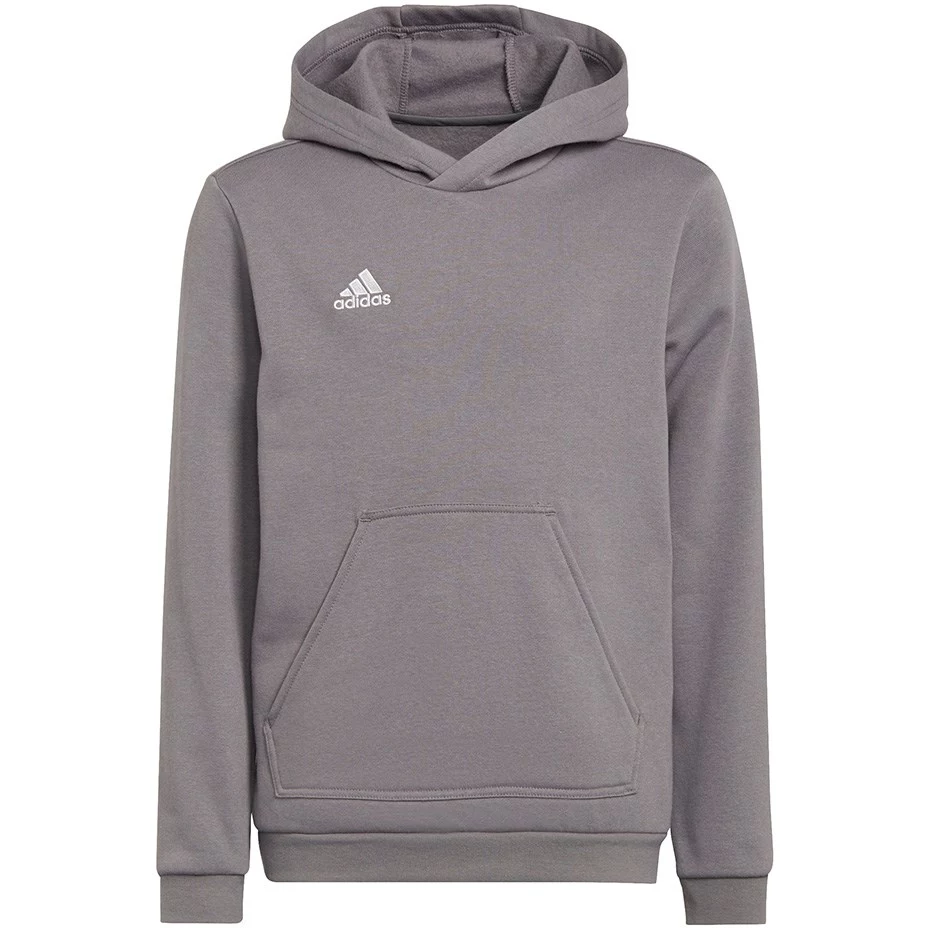 Adidas Entrada 22 kapuce ar kapuci