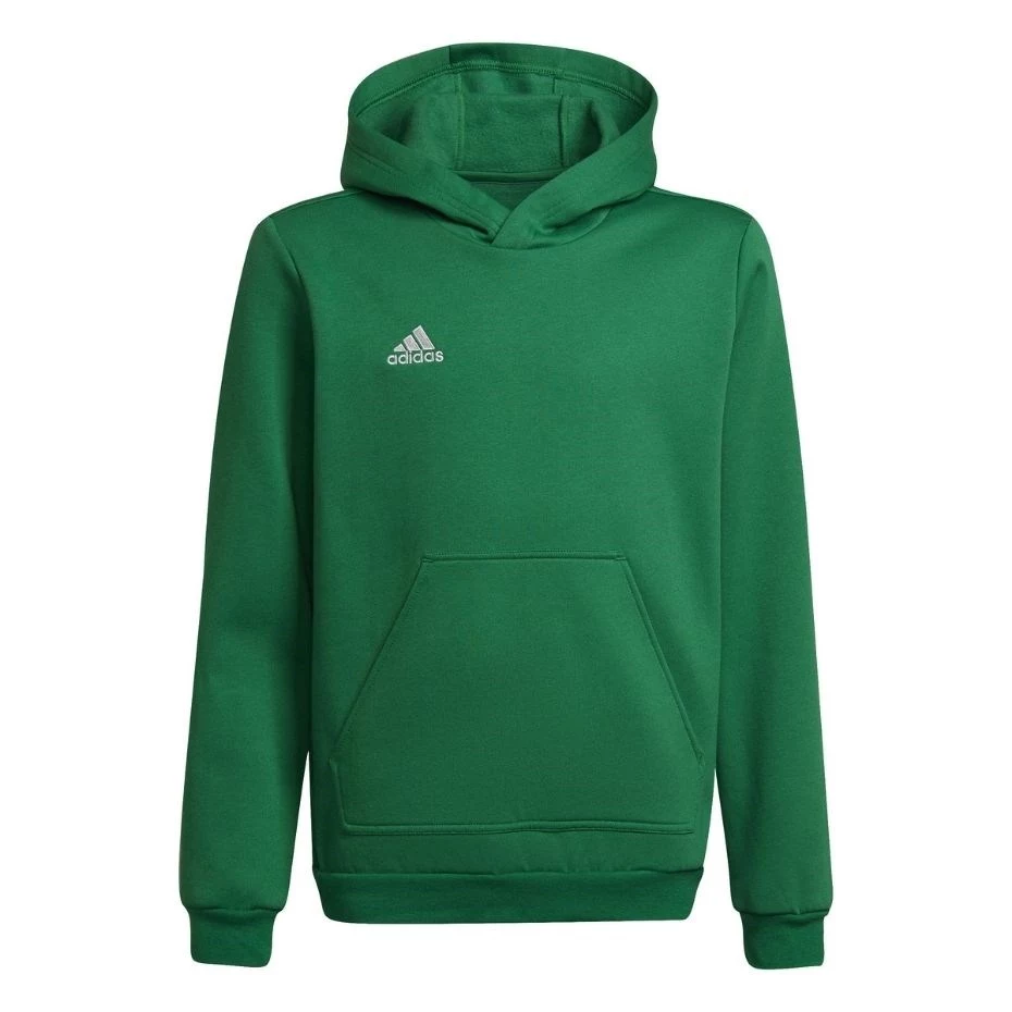 Adidas Entrada 22 Hoody bērnu sporta