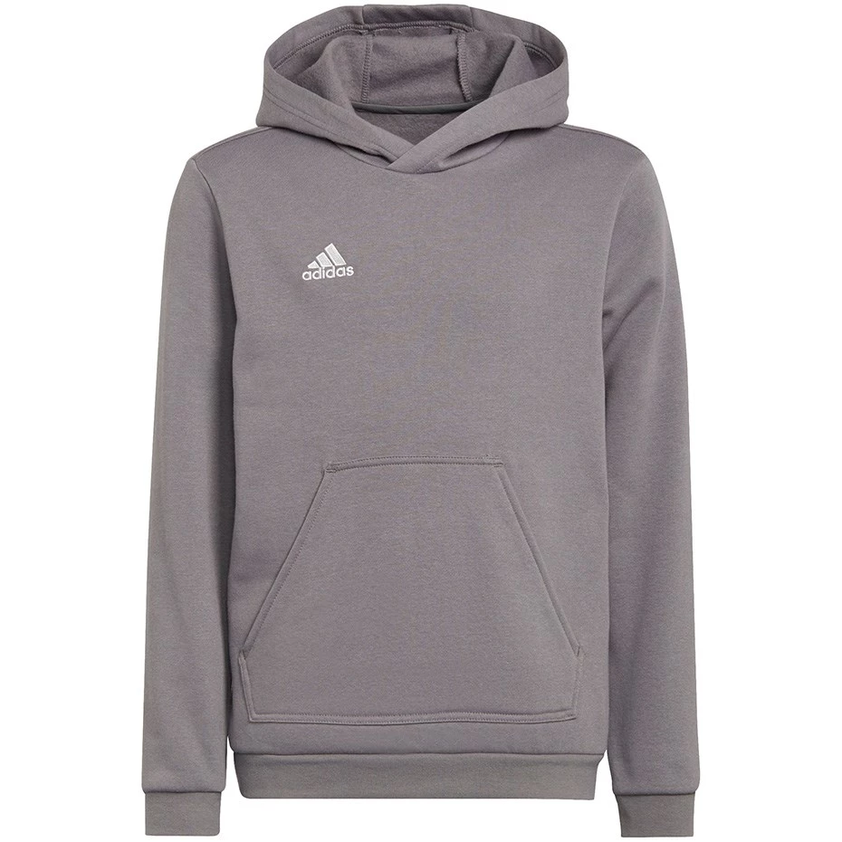 Adidas Entrada 22 Hoody bērnu sporta