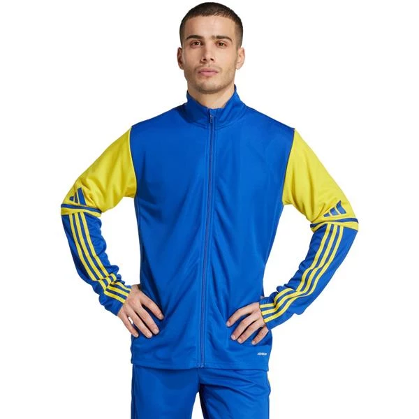 Adidas Squadra 25 Training vīriešu sporta