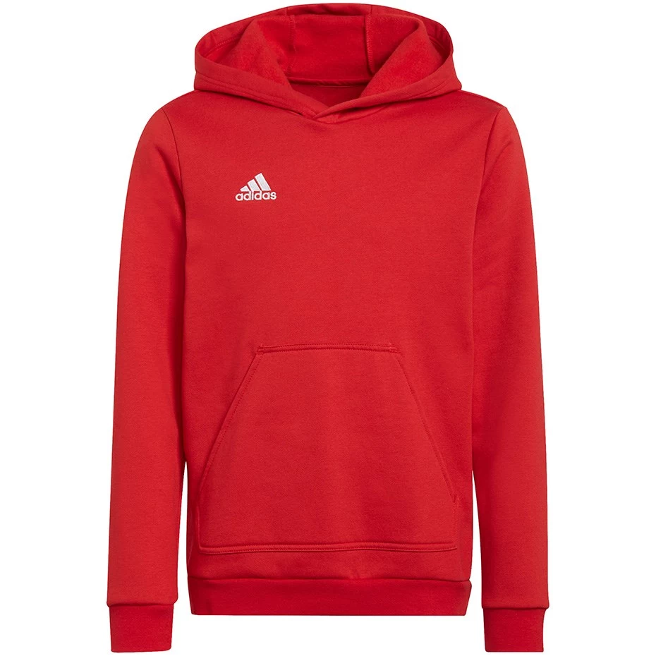 Adidas Entrada 22 Hoody bērnu sporta