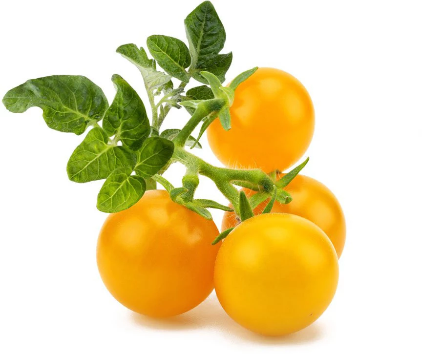 Click and Grow Smart Garden papildinājums