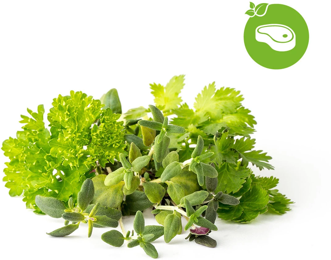 Click & Grow garšaugu maisījuma steikiem