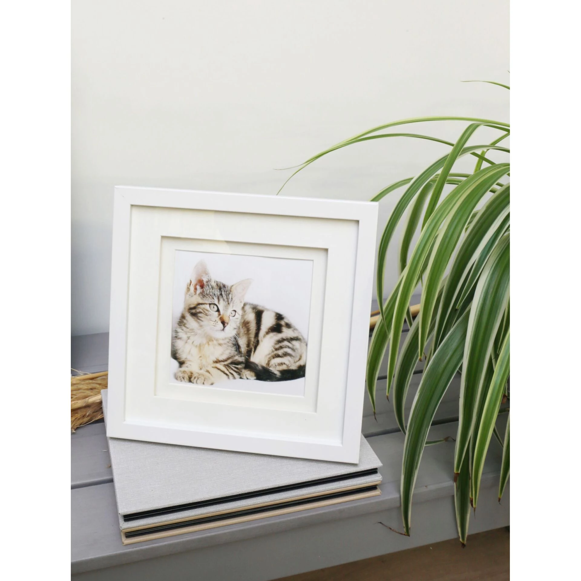 Deknudt S65KK1 Balts 13x13 cm koka