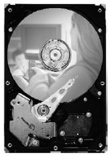 SEAGATE 250GB 3,5 collu ST3250820SCE