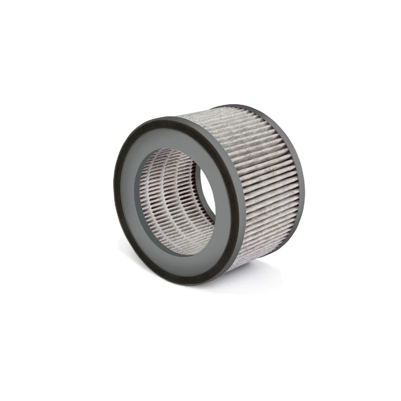 SOEHNLE Filter AirFresh Clean 300 aktīvās