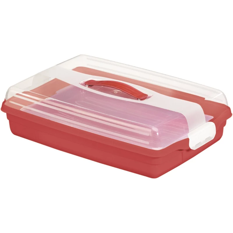 CURVER Cake Transport Box Rectangular 45x29