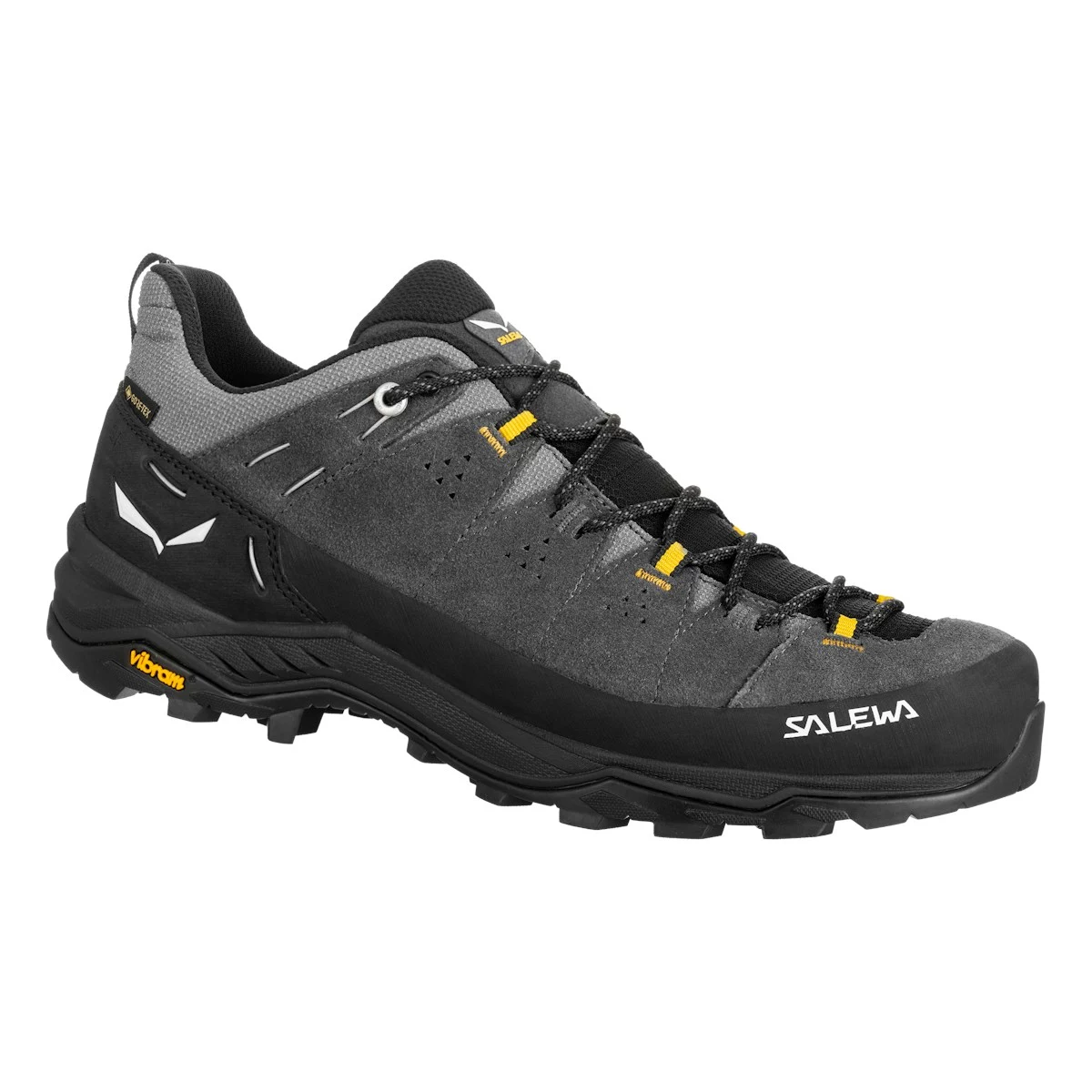 Salewa Alp Trainer 2 GTX pārgājienu