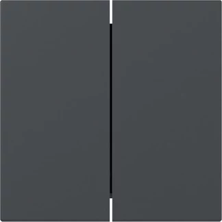 Gira Rocker Switch Cover 349528, 2-gang