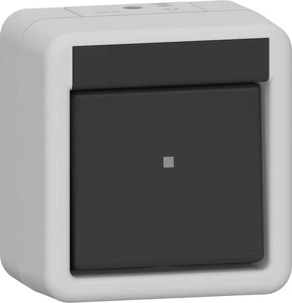 GIRA Wippschalter 310230 Aus 2-p WG