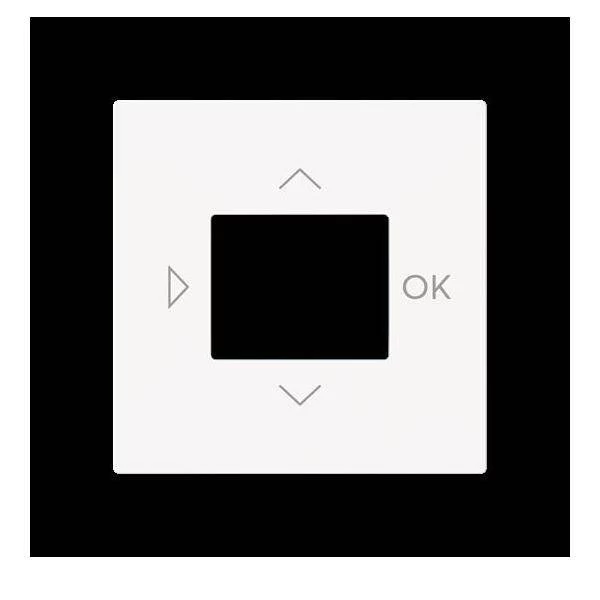 Busch-Jaeger Zentralscheibe LCD displejam 6435-44M (2CKA006430A0451)