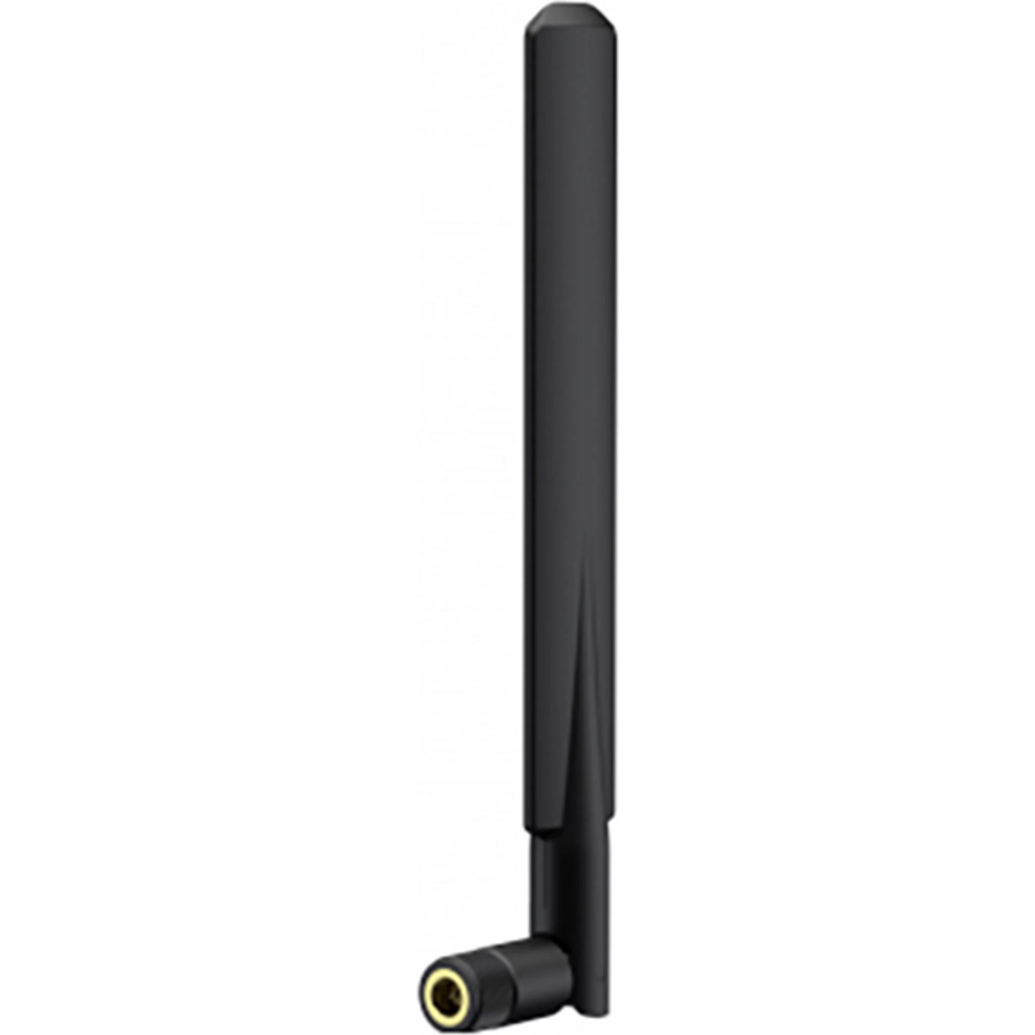 Wittenberg Antennen Terminal WIFI antena 2
