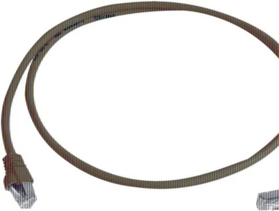 Telegärtner 100008674 RJ45 tīkla kabelis, CAT