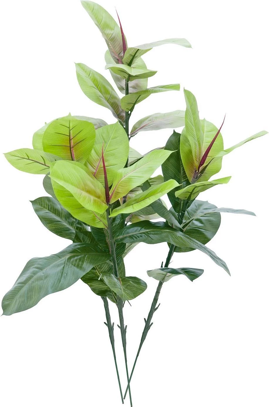 EUROPALMS mākslīgais gumijkoks 100cm, reālistisks Ficus