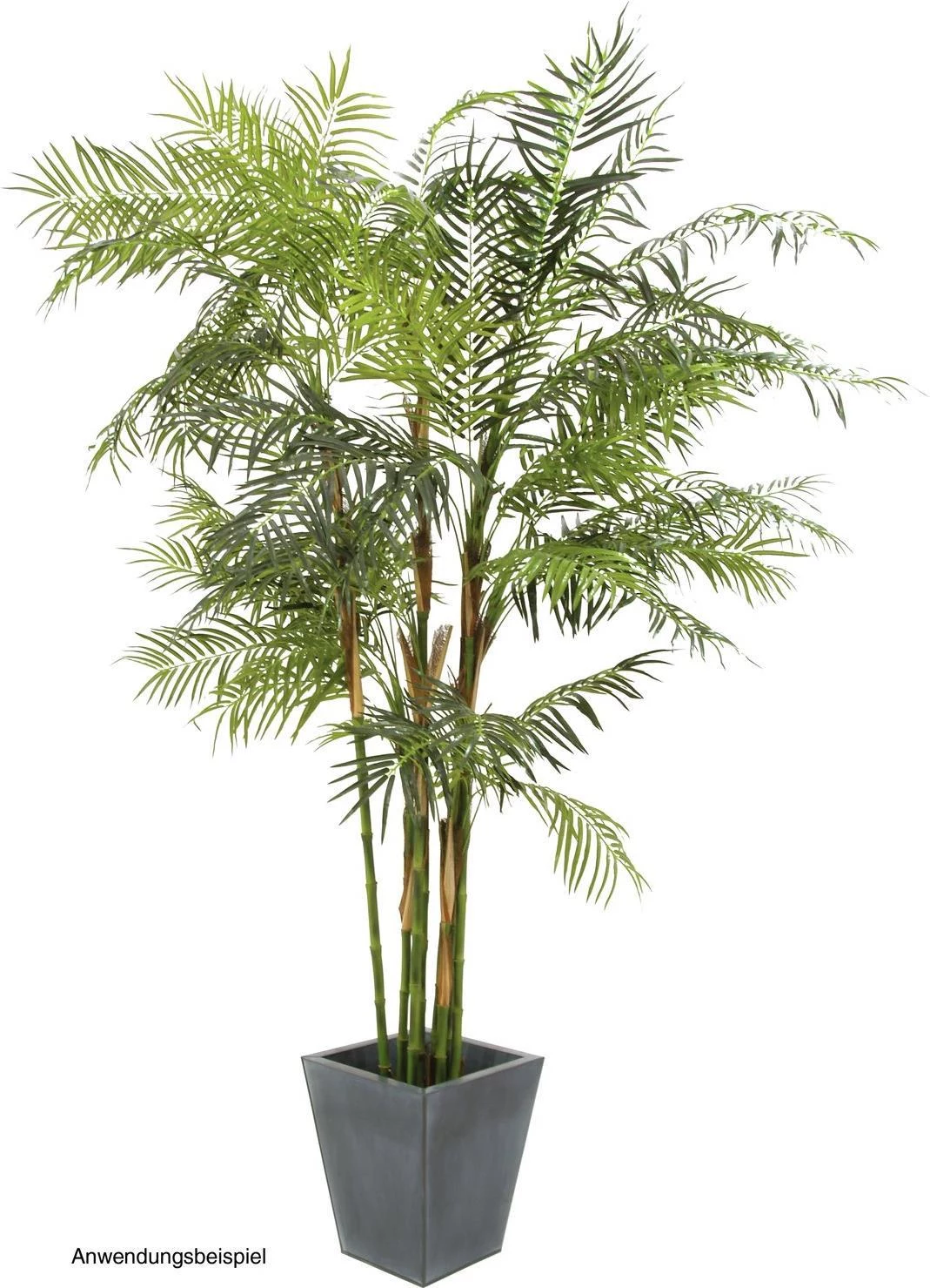 EUROPALMS Cycas palma mākslīgais augs, 280cm