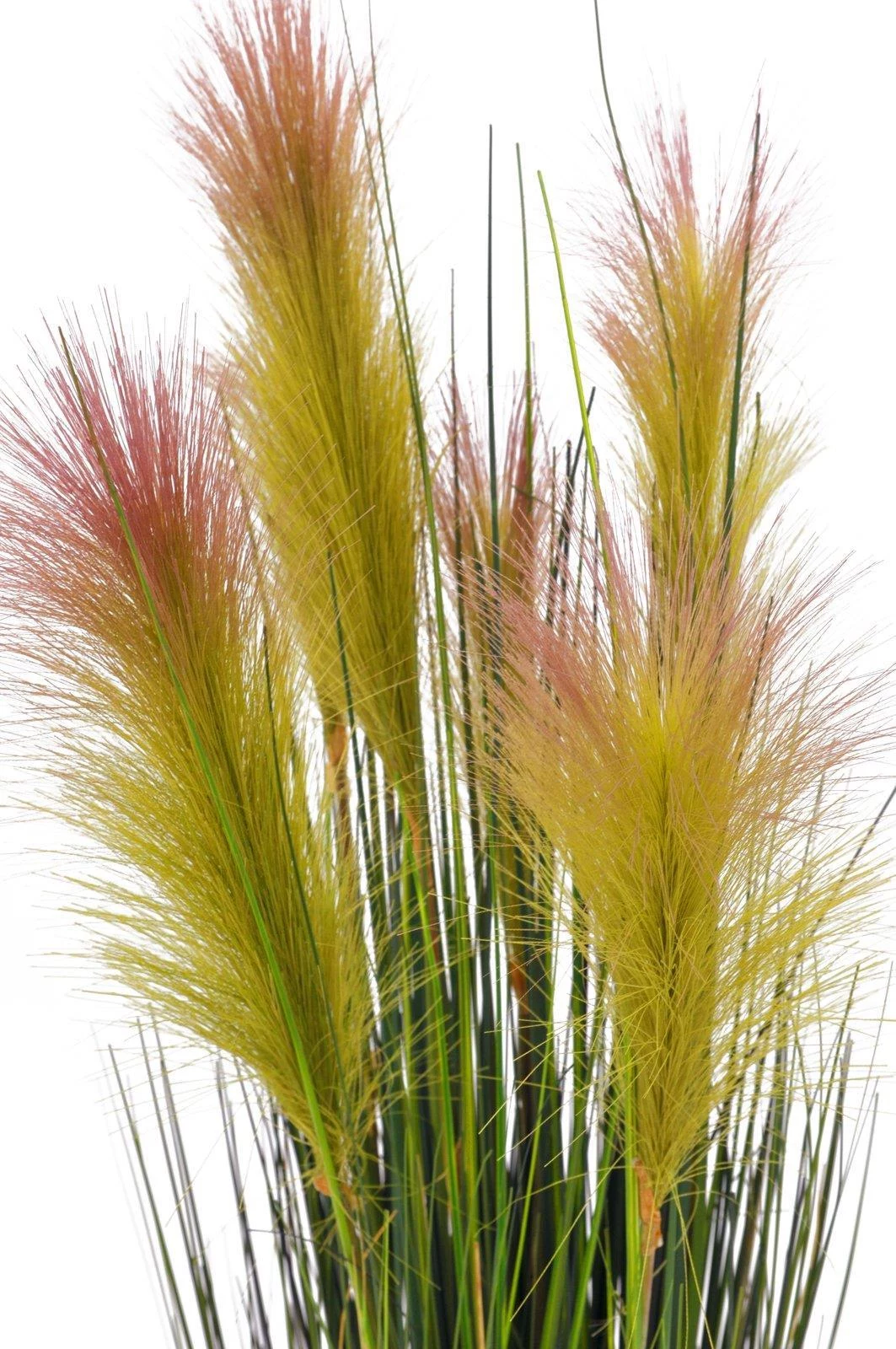 EUROPALMS spalvu zāle, mākslīga, rozā, 90cm