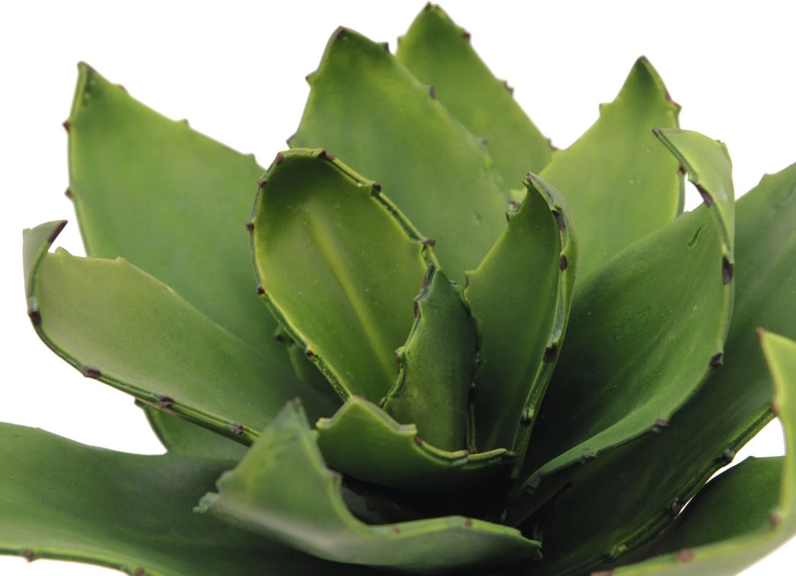 EUROPALMS Agave mākslīgais augs, EVA, zaļš