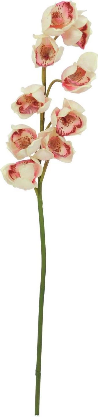 EUROPALMS mākslīgais Cymbidium zars, krēmkrāsas-rozā, 90cm