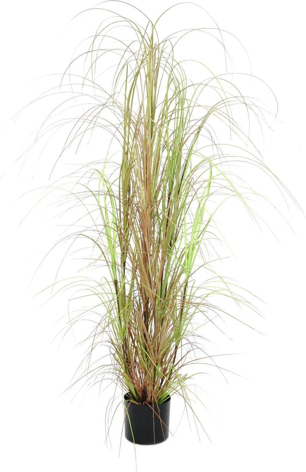 EUROPALMS mākslīgais zāles krūms, 150cm, zaļš