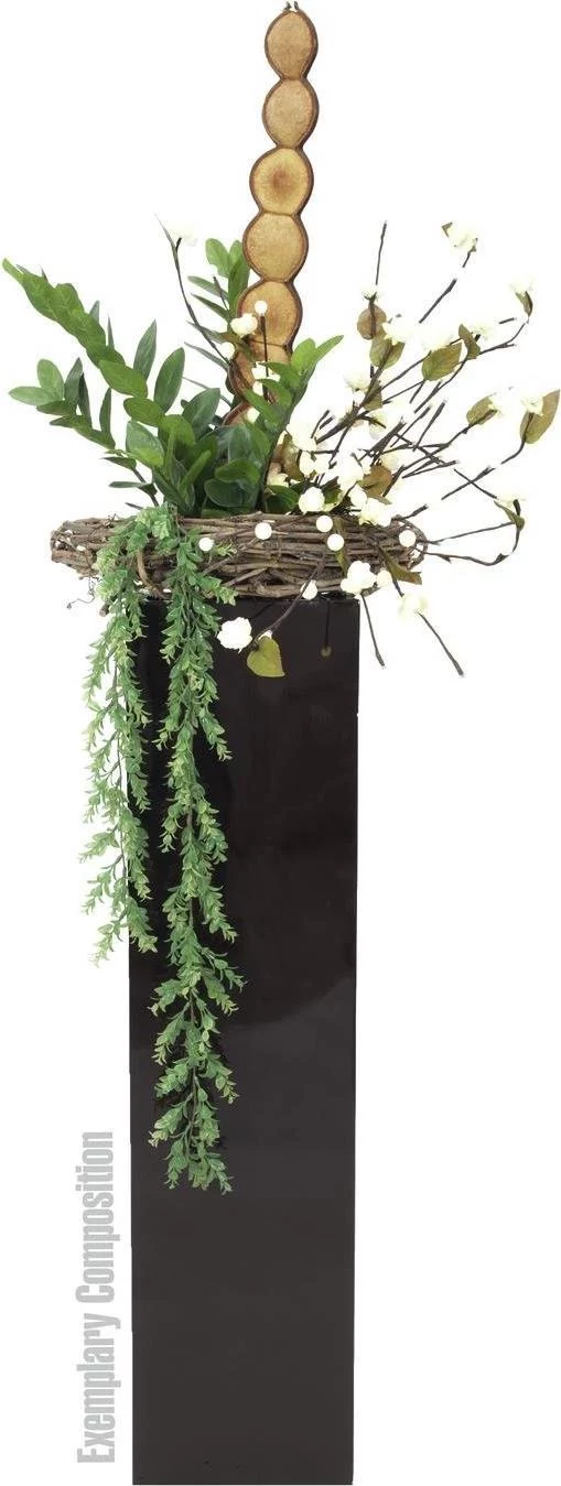 EUROPALMS Zamifolia mākslīgais ZZ augs, 70