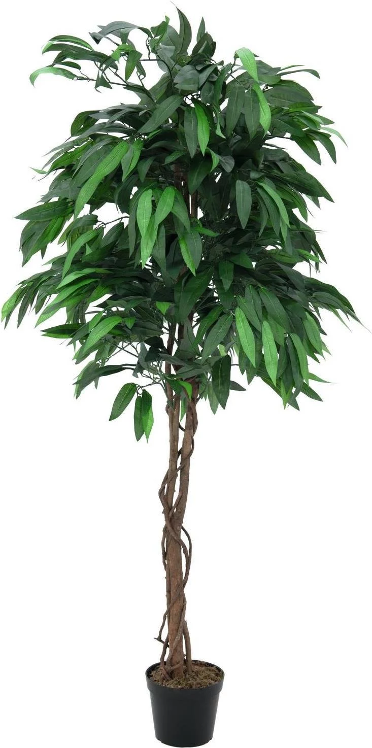 EUROPALMS mākslīgais mango koks, 180 cm