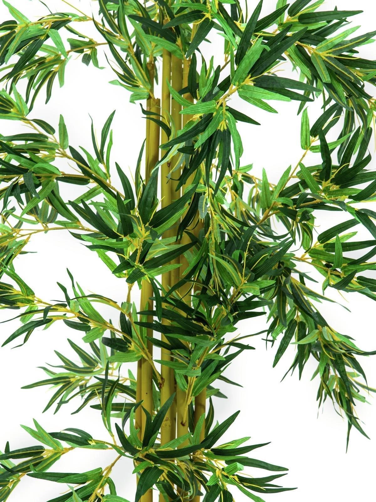 EUROPALMS mākslīgais bambuss ar vairākiem stumbriem