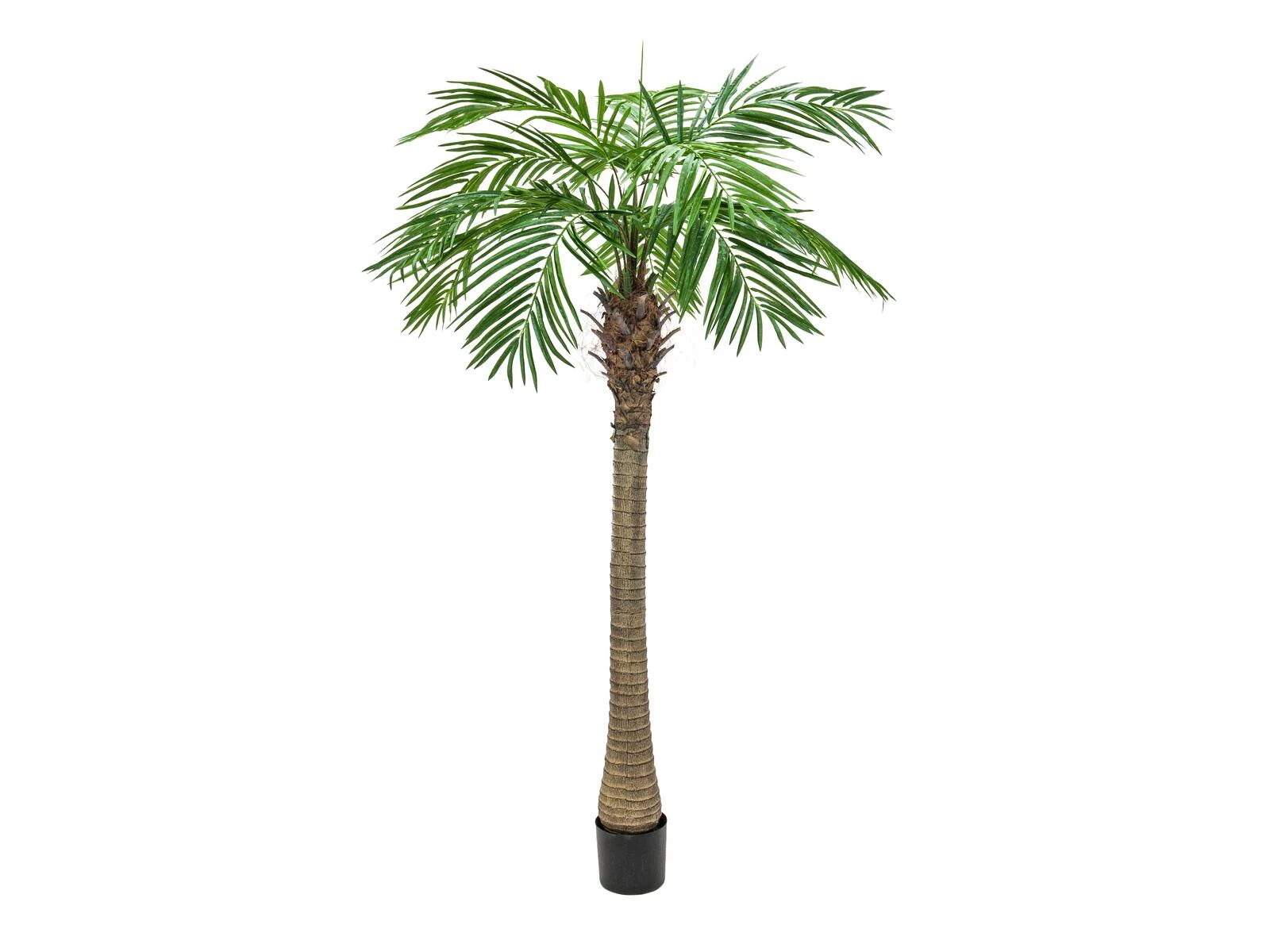 EUROPALMS Phoenix Palm Luxor, mākslīgais augs