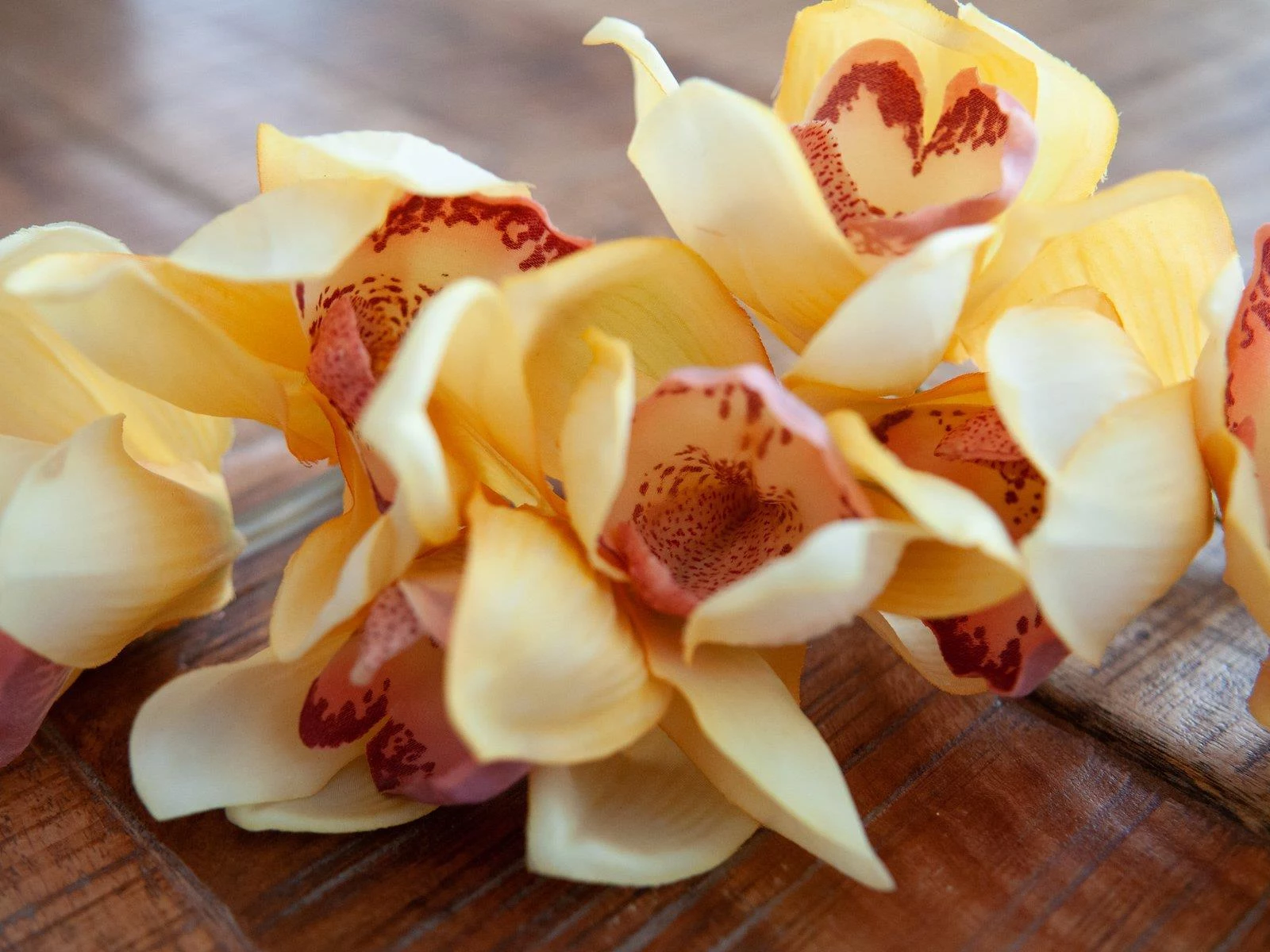EUROPALMS mākslīgais cymbidium zars, dzeltens, 90cm