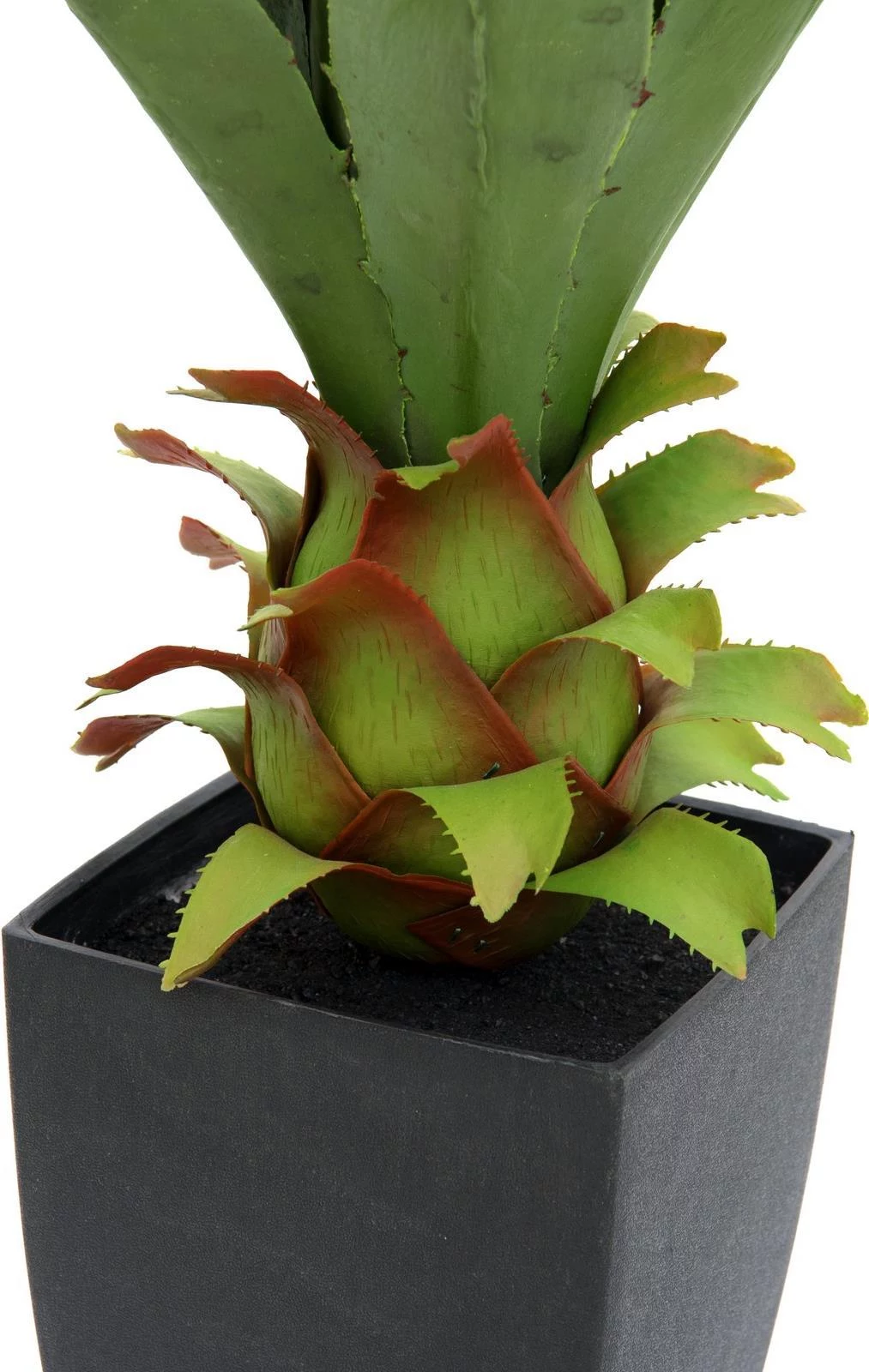 EUROPALMS Agave in Pot, mākslīgais augs