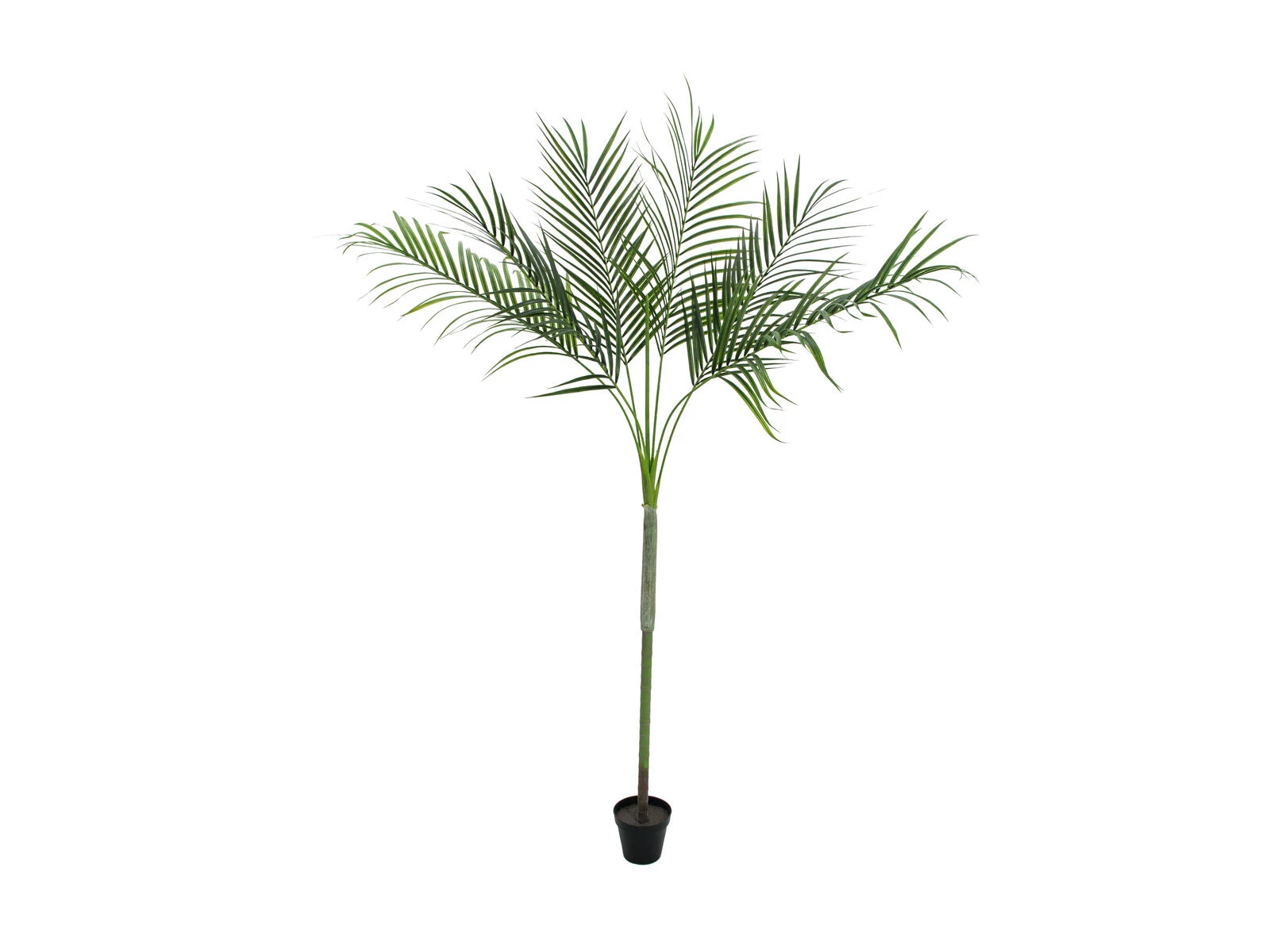 EUROPALMS Areca deluxe mākslīgais augs, 180cm