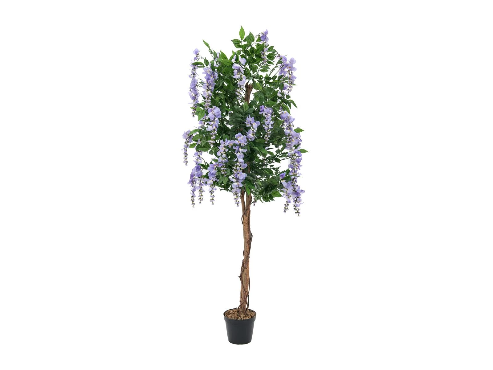 EUROPALMS mākslīgais zelta lietus koks (Goldregenbaum)