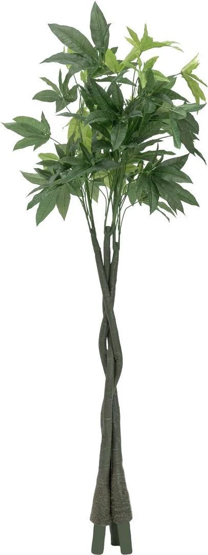 EUROPALMS mākslīgais Pachira naudas koks, 160cm