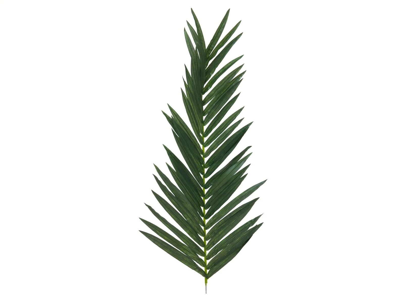 EUROPALMS mākslīgā kokospalmas lapu vīkne, 150