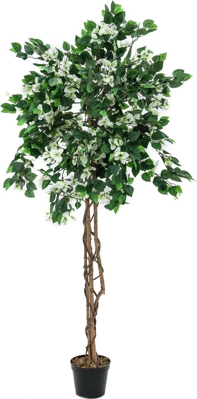 EUROPALMS Bougainvillea mākslīgais augs, balts, 150cm