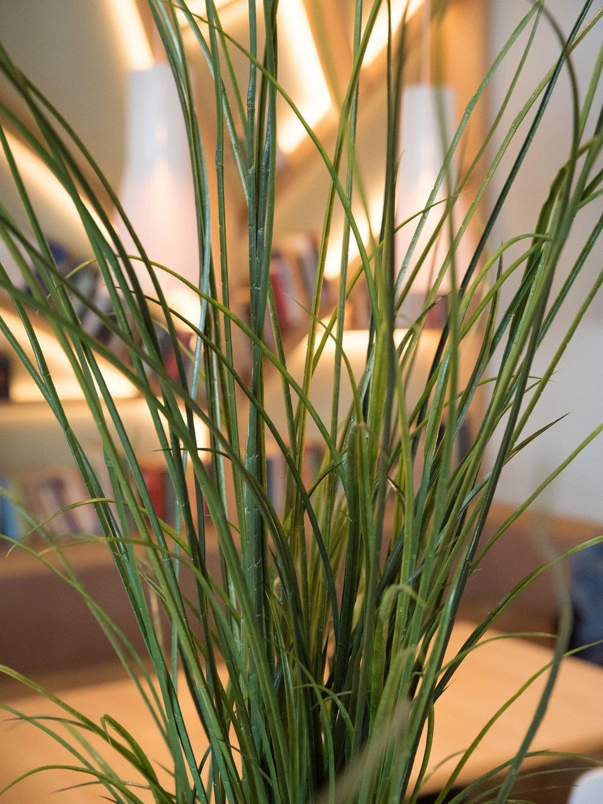 EUROPALMS mākslīgā niedru zāle, 145 cm