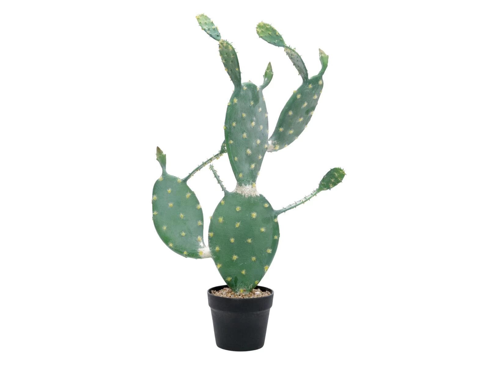 EUROPALMS mākslīgais lapu kaktuss, 76 cm