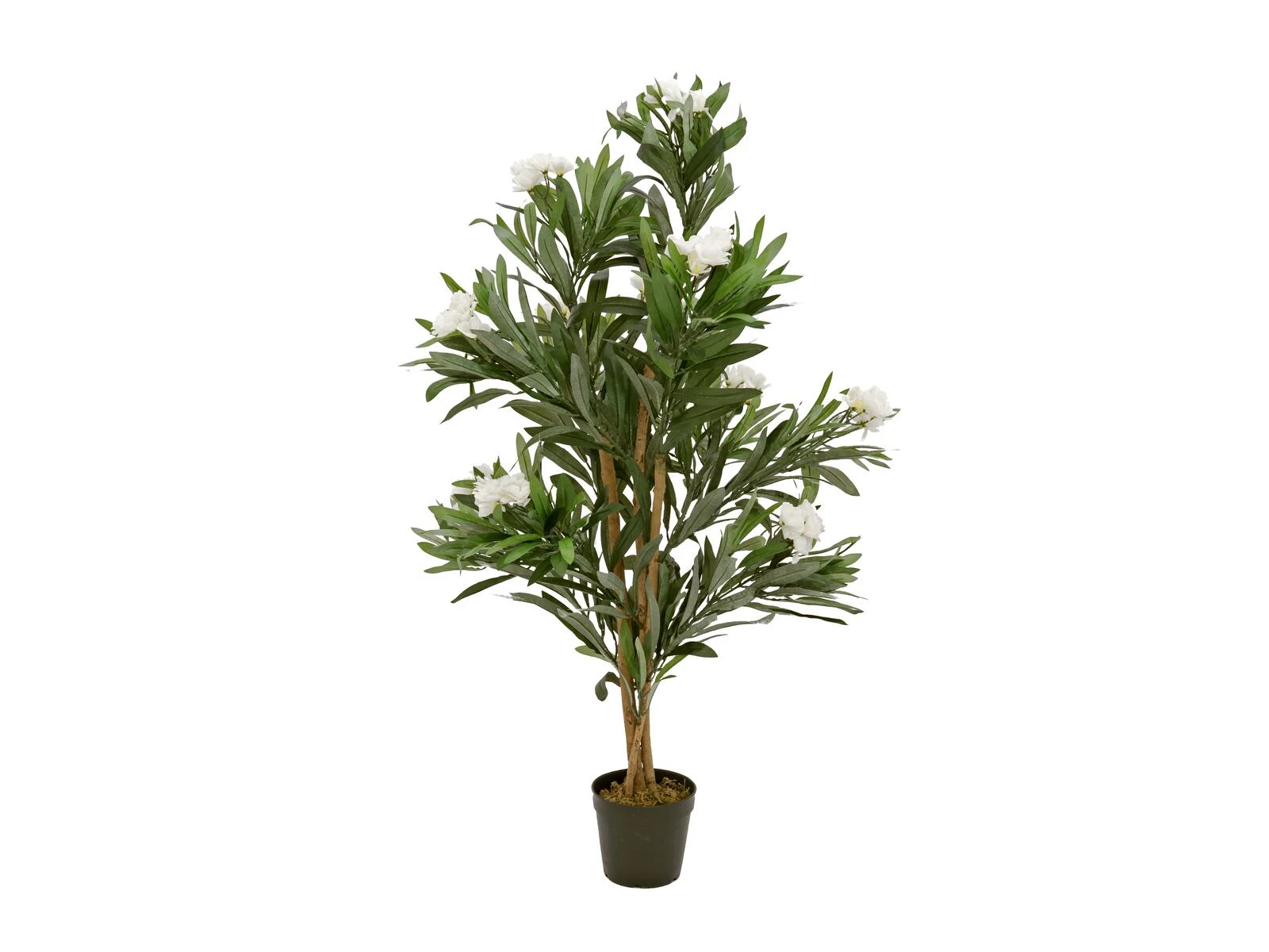 EUROPALMS Oleander koks, mākslīgais augs, balts