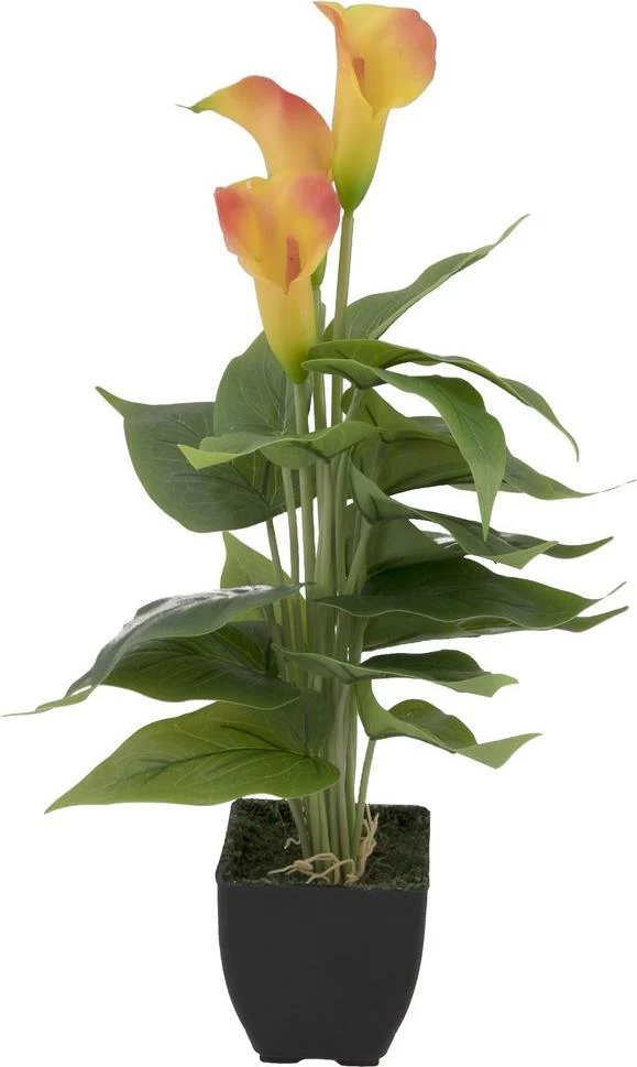 EUROPALMS Calla mini mākslīgais augs, dzelteni