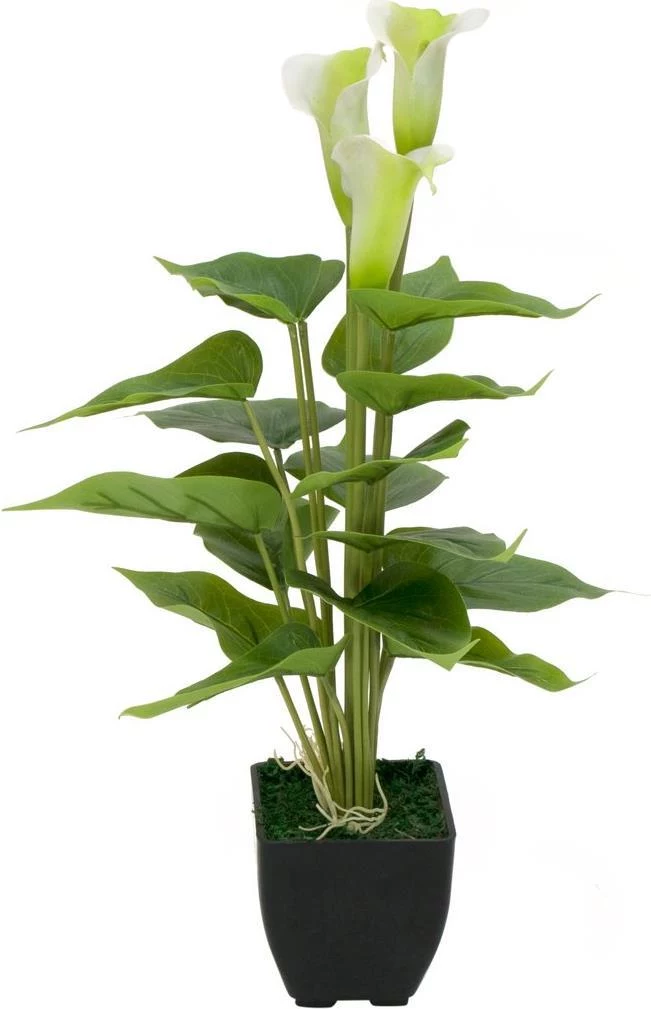 EUROPALMS Calla mini mākslīgā kalādu ziedu