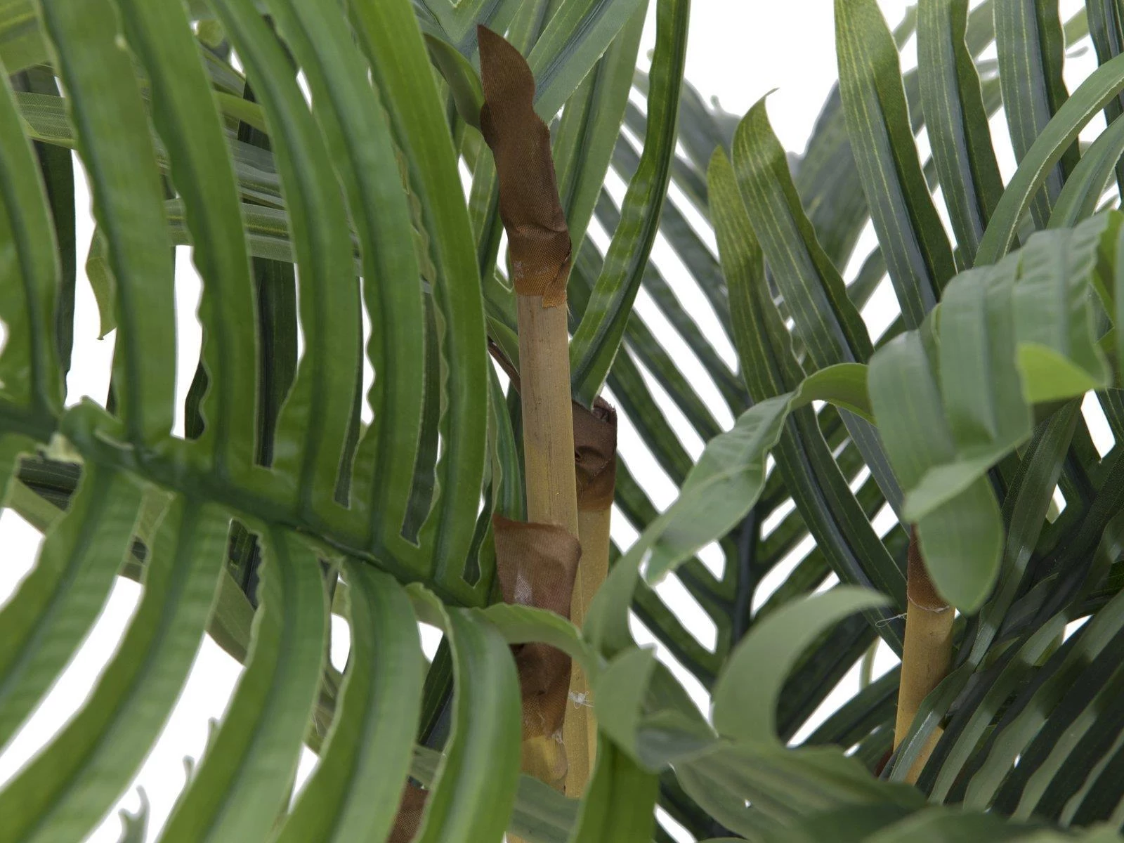 EUROPALMS Kentia palma mākslīgais augs 140cm