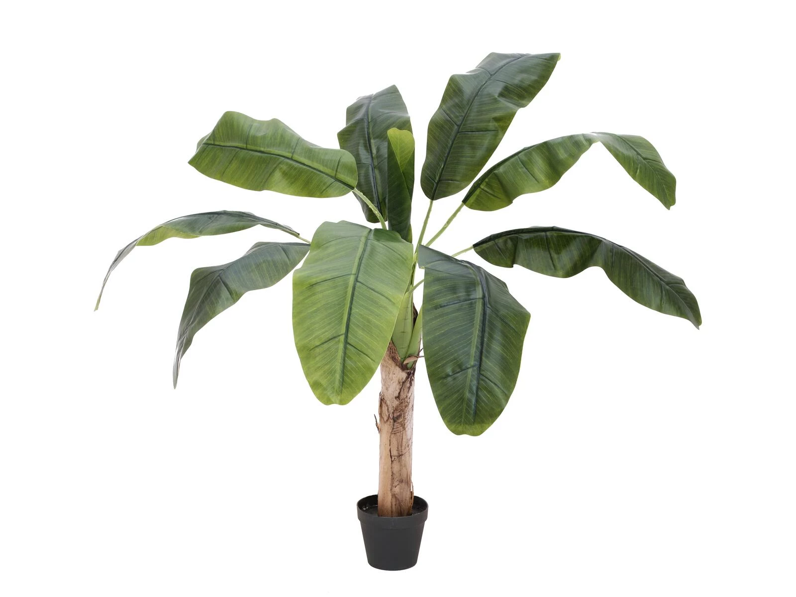 EUROPALMS mākslīgais banānu koks, 100 cm
