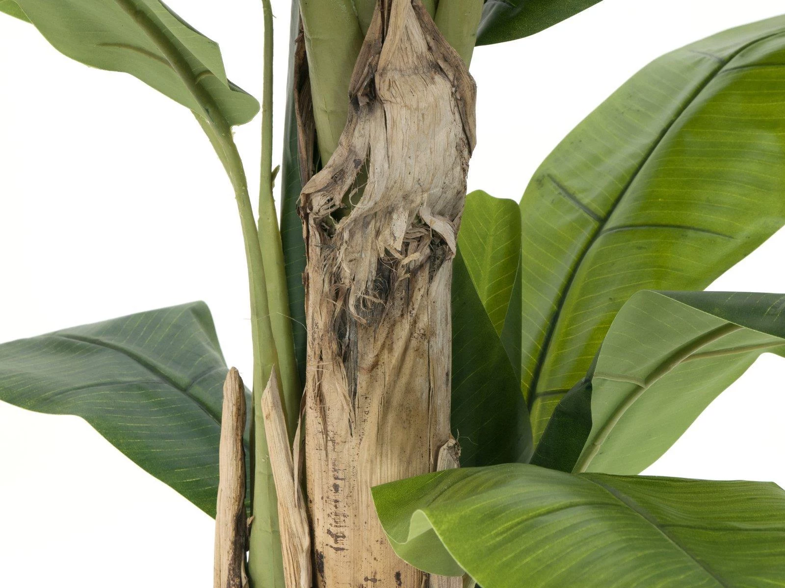 EUROPALMS mākslīgais banānu koks, 170cm, zaļas