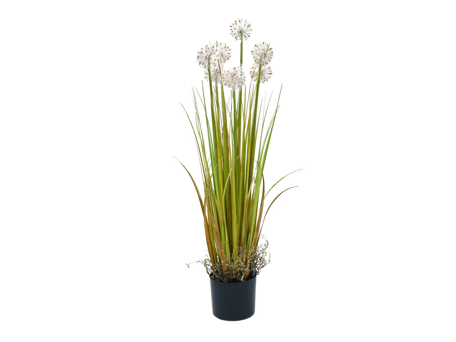 EUROPALMS mākslīgā pienenes puķe, 107cm, balta
