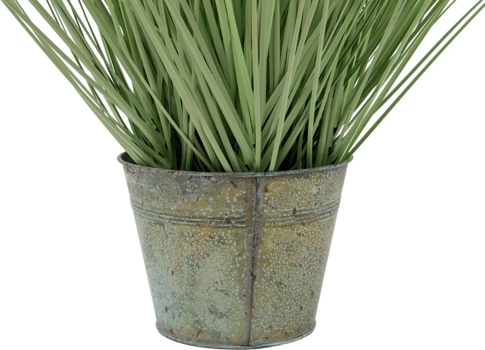 EUROPALMS mākslīgā dekoratīvā zāle, 65 cm