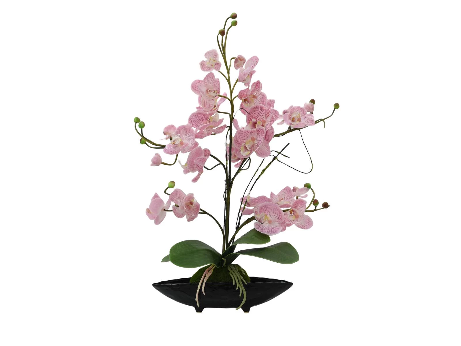 EUROPALMS Orchidu kompozīcija (EVA), mākslīga, purpura