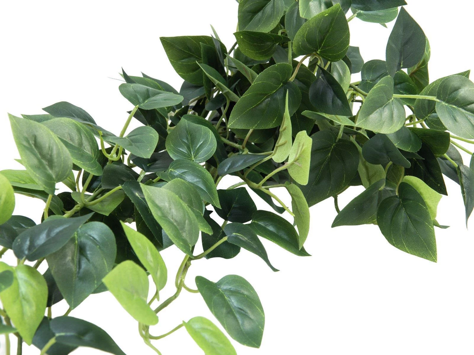 EUROPALMS Pothos Bush Screen Classic, mākslīgs