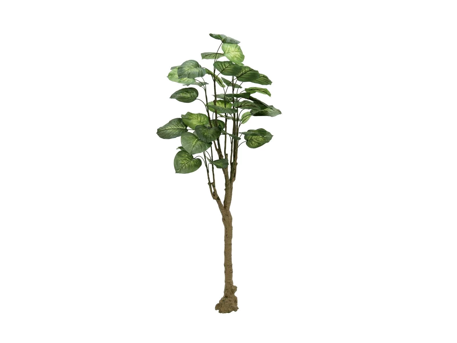 EUROPALMS Pothos mākslīgais koks, 150 cm