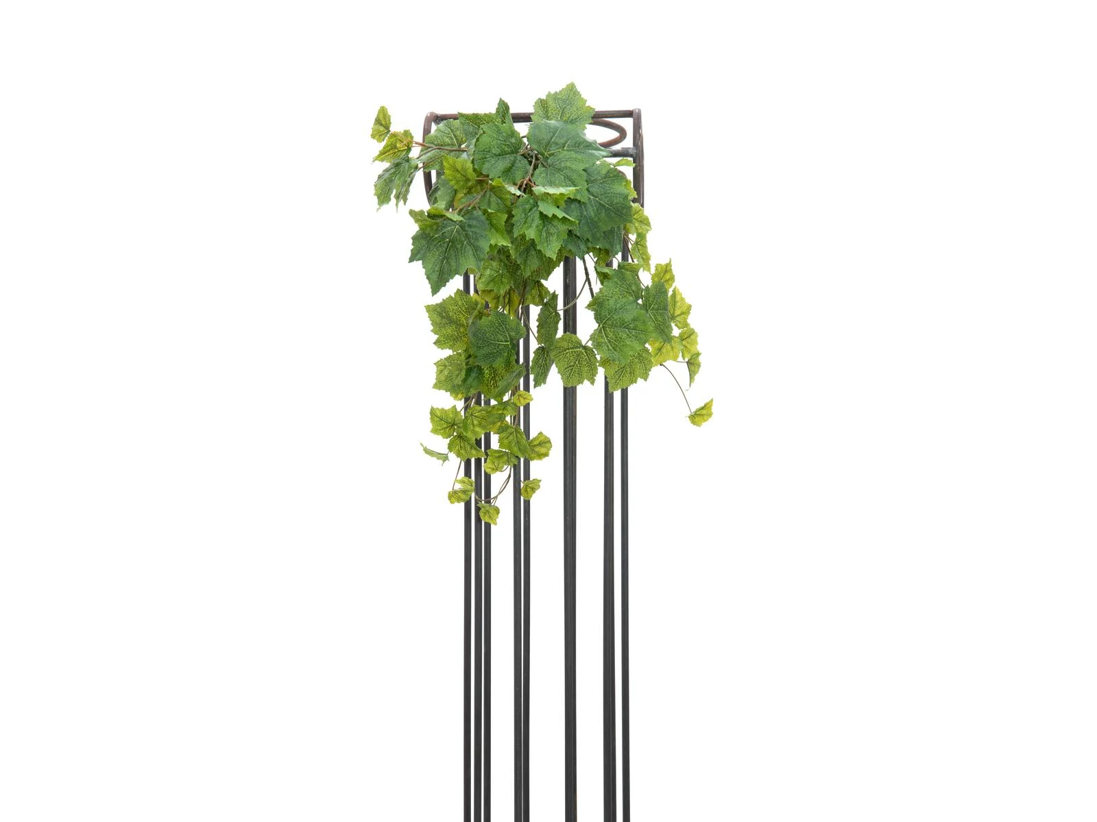 EUROPALMS Premium mākslīgais vīnogulāju krūms, 50cm