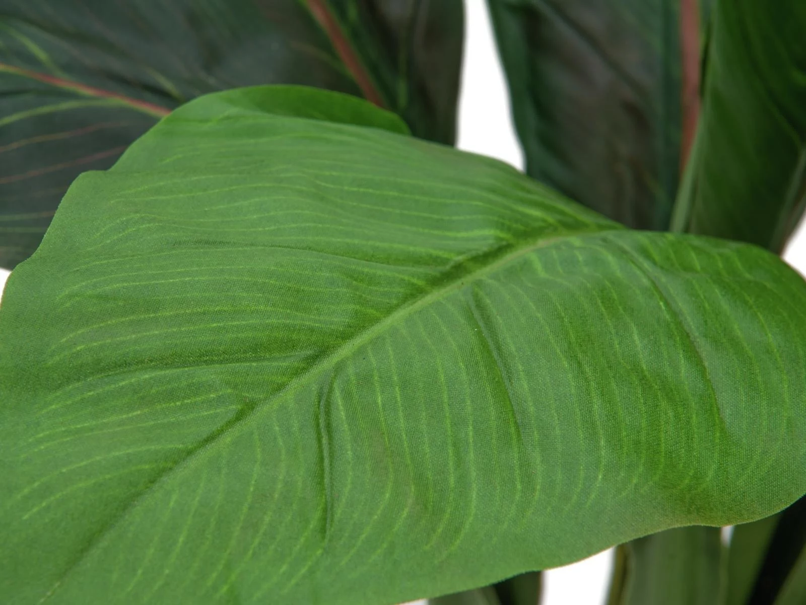 EUROPALMS mākslīgais mangolda krūms, 45 cm