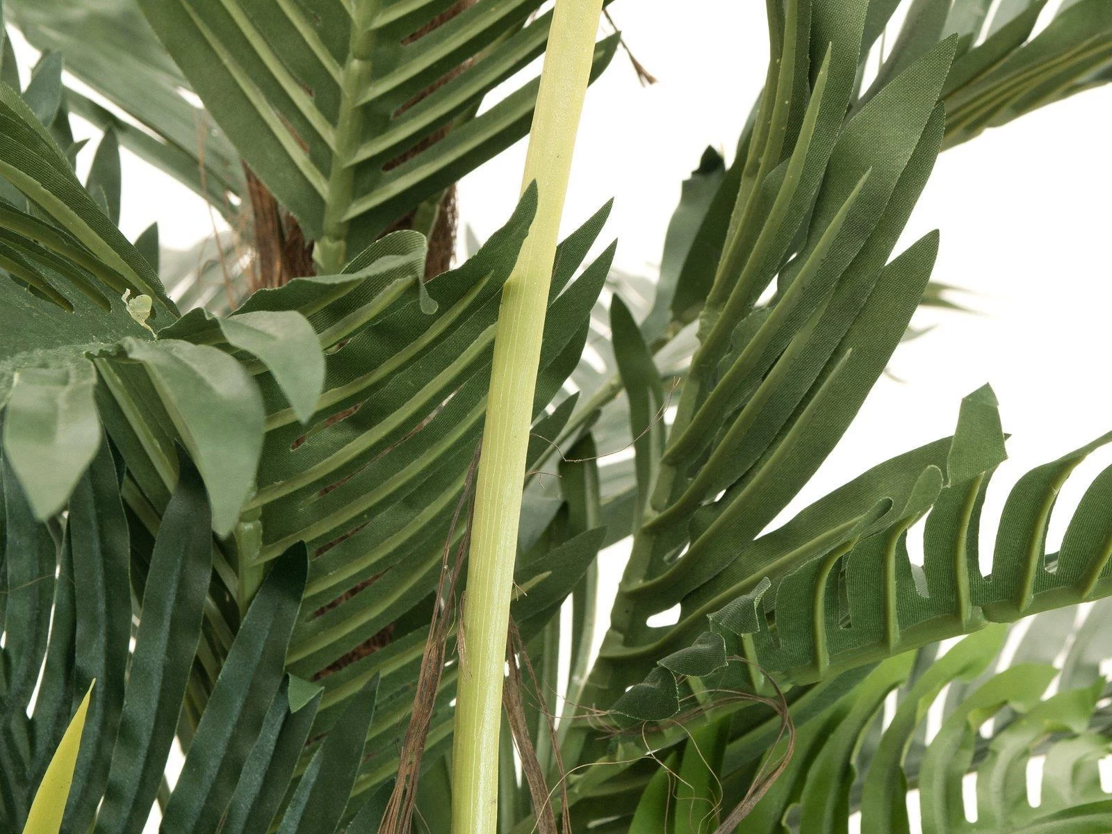 EUROPALMS Kentia palma mākslīgais augs 180cm
